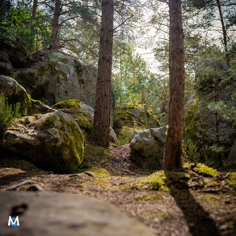 fontainbleau-rando-photo-paysage