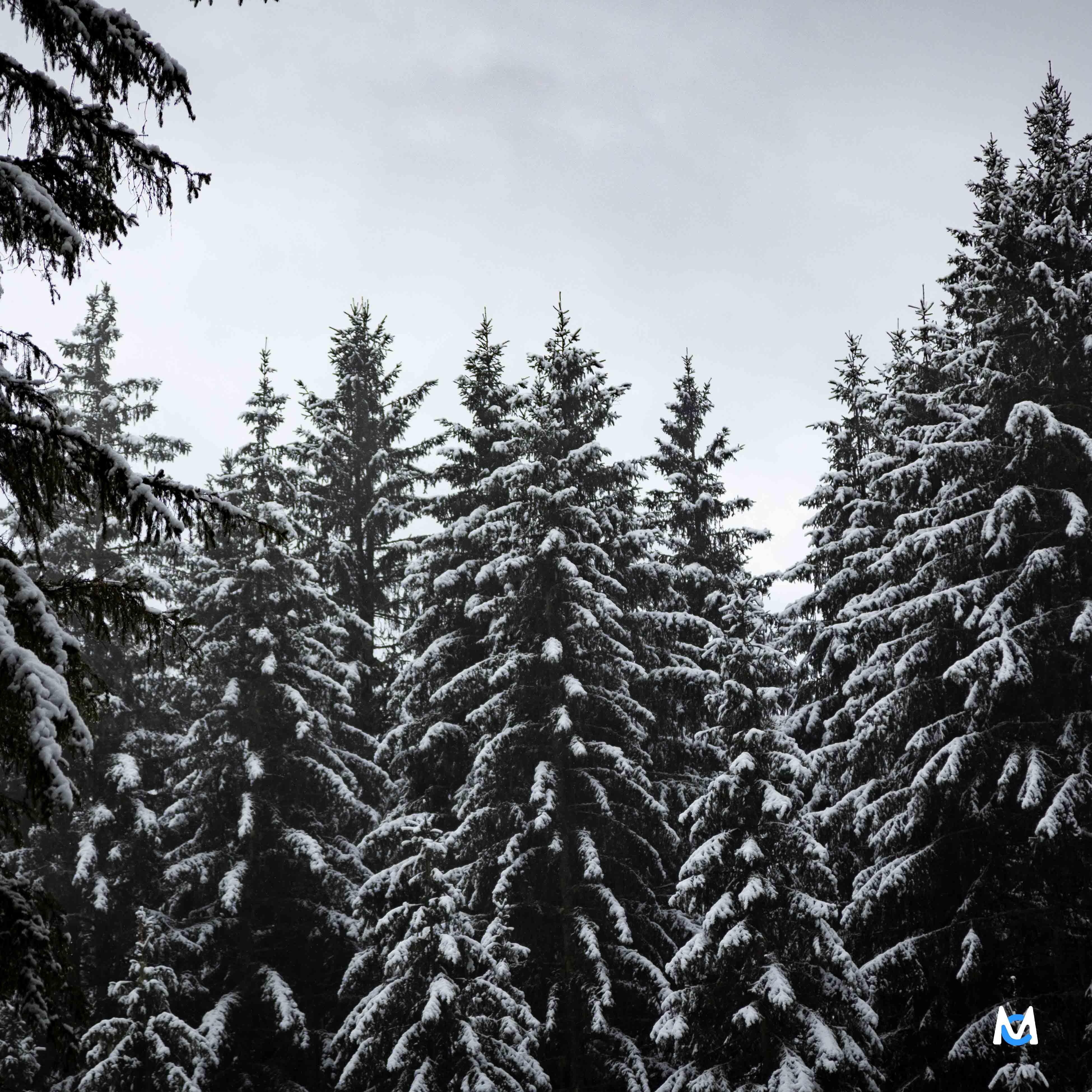 chamonix-photo-paysage