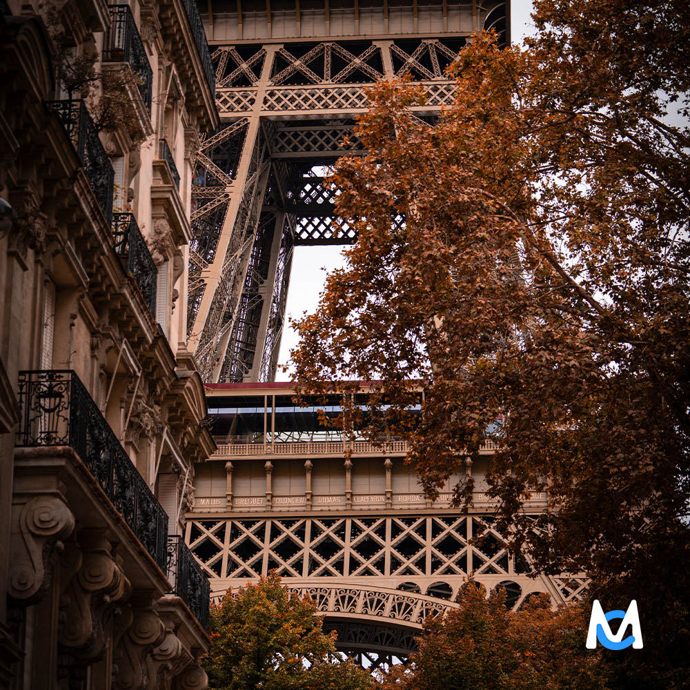 paris-photo-paysage