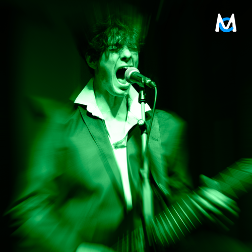 the-deafness-experiment-concert